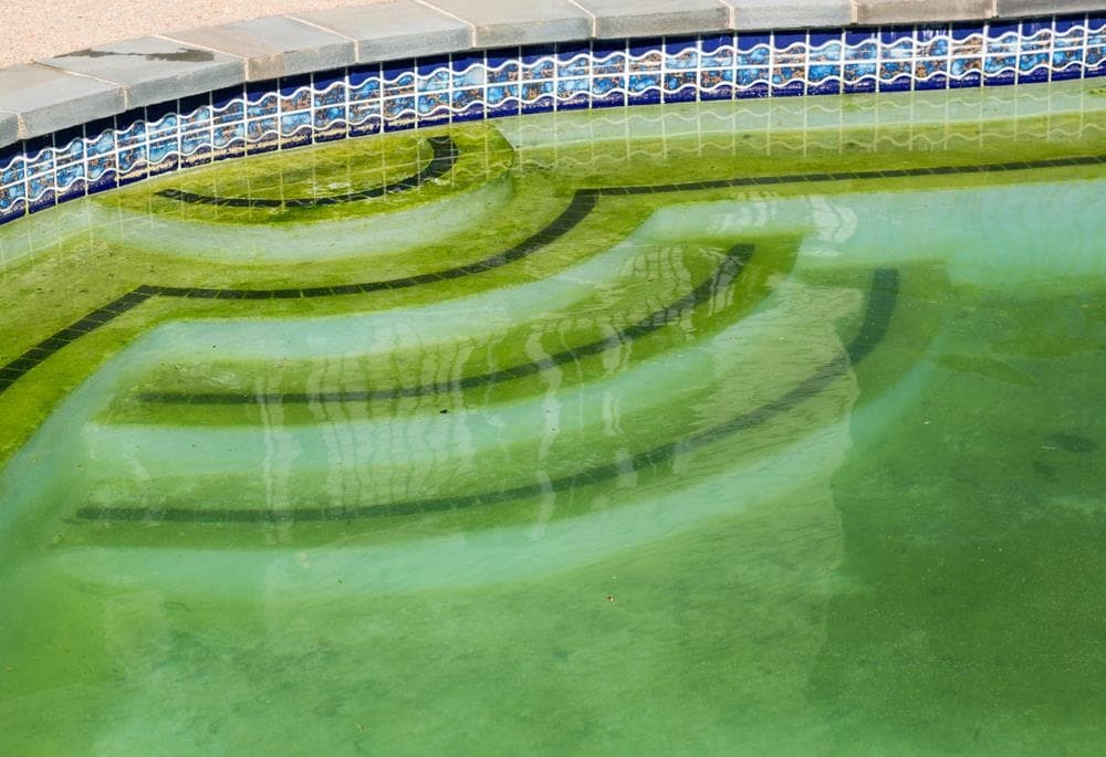 El agua de mi piscina empieza a estar verde, ¿qué puedo hacer?