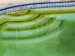 El agua de mi piscina empieza a estar verde, ¿qué puedo hacer?
