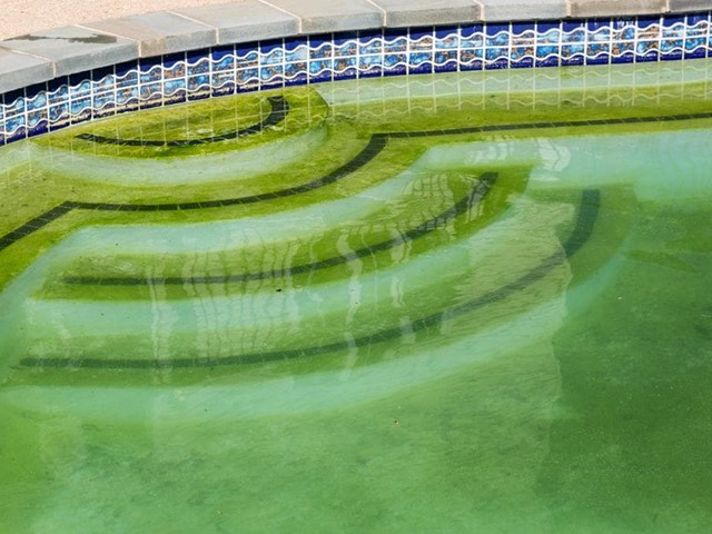 El agua de mi piscina empieza a estar verde, ¿qué puedo hacer?